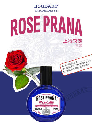 ROSE PRANA สเปรย์หอม น้ํามันอิทธิพลของกะหล่ําน้ํามันกระจกกระจกกระจกน้ําหมอก OEM ขายส่งยอดขายน้ําหอม น้ํามันหอมเน้น