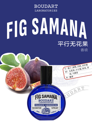 FIG SAMANA สเปรย์ร่างกาย น้ํามันหอมแหลมและมัสกัส ที่เน้นกับน้ํามันอีเซนเชียลกาน